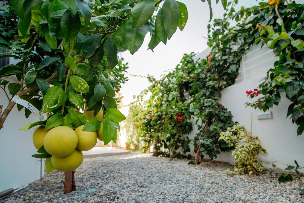 Island Home Seaside Villa Paralímni Eksteriør bilde
